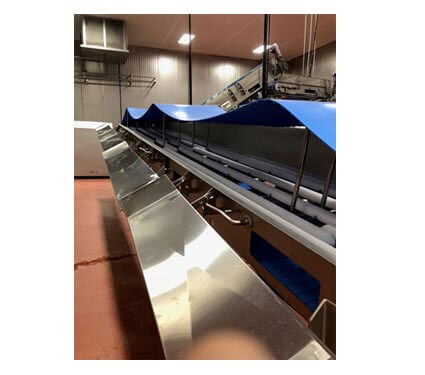 https://westcoastcryo.com/wp-content/uploads/2020/07/2-hygienic-conveyor.jpg